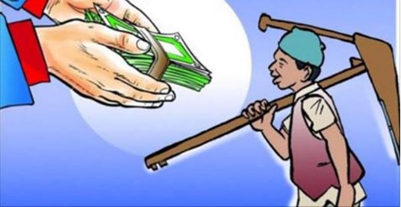 विगत १० वर्षमा कृषिमा दिइएको अनुदान छानबिन गर्न पाँच सदस्यीय कार्यदल गठन